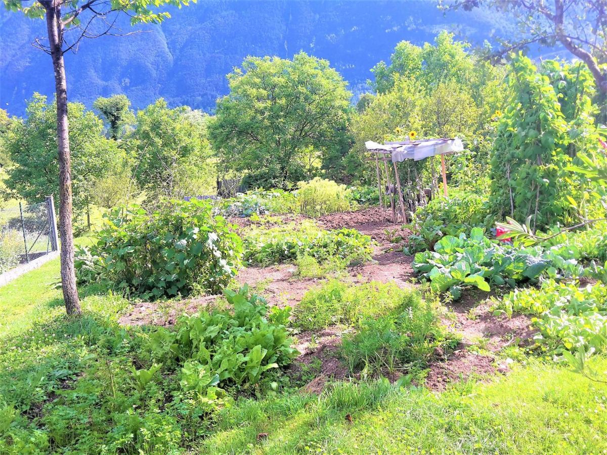 Bovec Holiday House Екстериор снимка